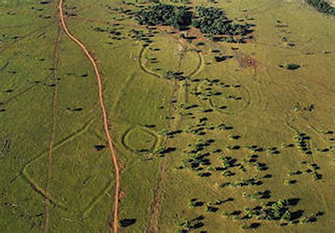  「赤い太陽の影」：古代ブラジルの神秘と情熱